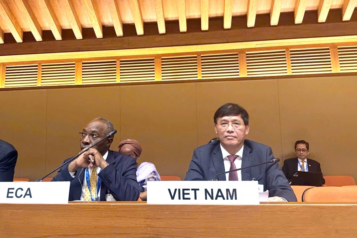 Việt Nam nêu 4 nguyên tắc trong xây dựng khuôn khổ hợp tác thuế quốc tế