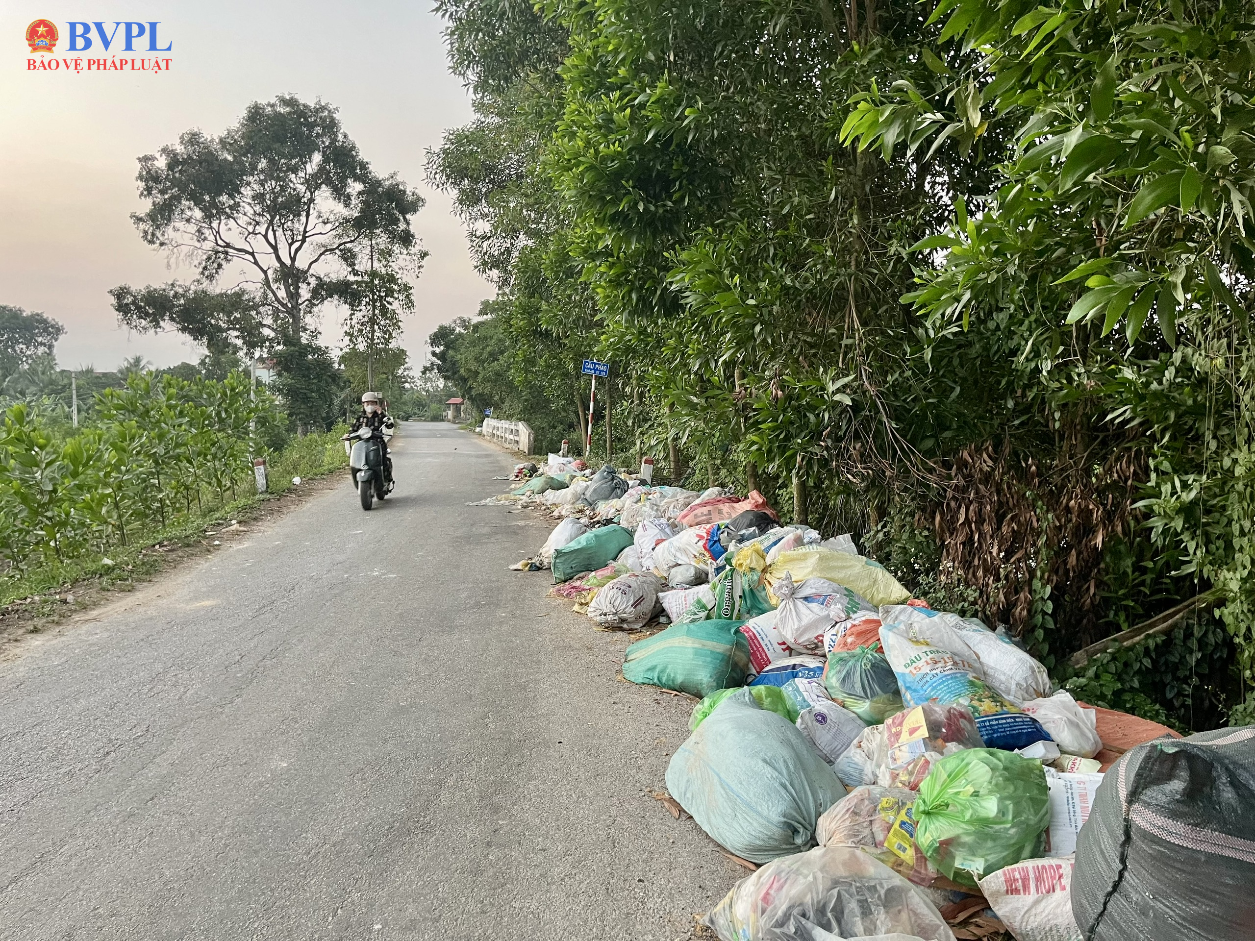 Thanh Hoá Nửa tháng không được thu gom, rác bủa vây quanh xã