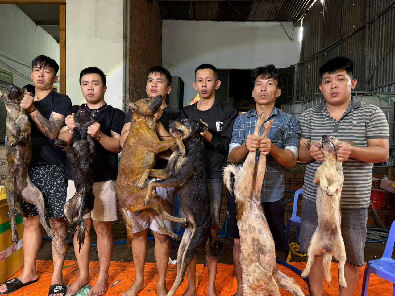 Triệt phá đường dây trộm chó, hơn 10 tấn thịt chó được tiêu thụ liên tỉnh