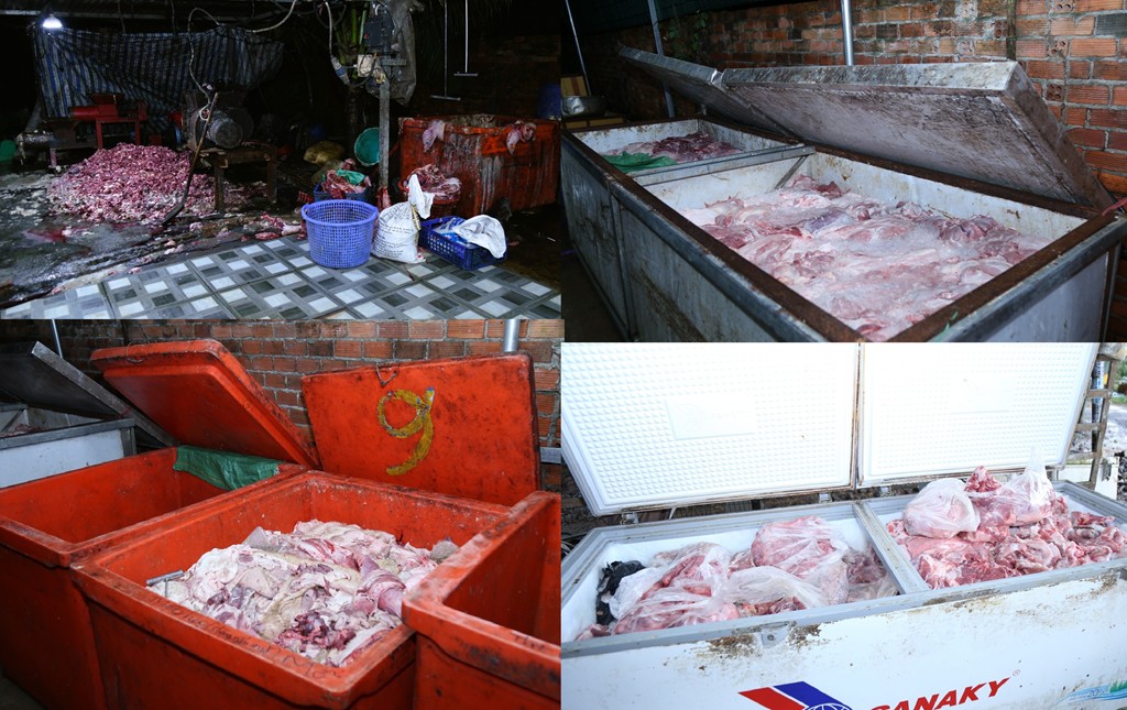Triệt phá đường dây tiêu thụ khoảng 400 tấn heo bệnh, heo chết, phê chuẩn khởi tố 9 bị can