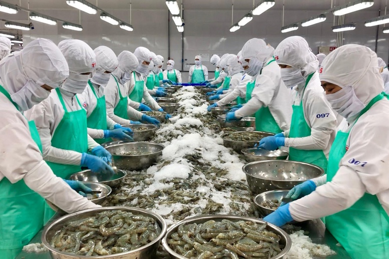 Thủy sản xuất khẩu sang Israel Chủ động xuất xứ, tận dụng ưu đãi VIFTA