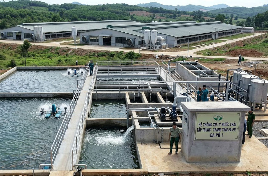 Vi phạm về xử lý chất thải, Công ty NCB Việt Nam bị xử phạt 100 triệu đồng