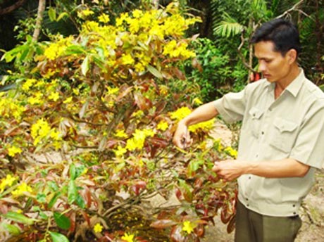 Chơi mai - làm chơi ăn thiệt