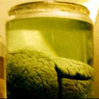 Sát nhân mang đầu óc bác học Kỳ 7