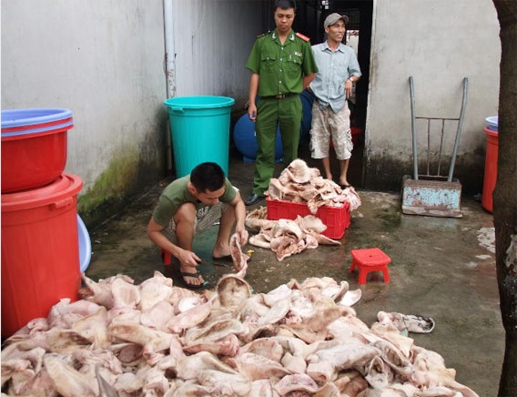 Chế biến tai heo ngâm dấm, giò thủ không an toàn vệ sinh