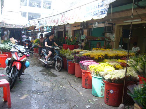 Hoa tươi tăng giá đột biến