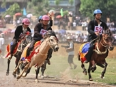 Đưa lễ hội đua ngựa của đồng bào Mông về Hà Nội