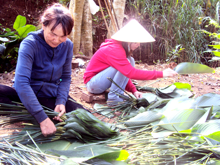 Lá dong vào vụ tết