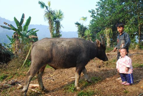 Gặp lại người tí hon