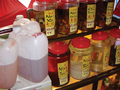 Đừng chết vì rượu độc