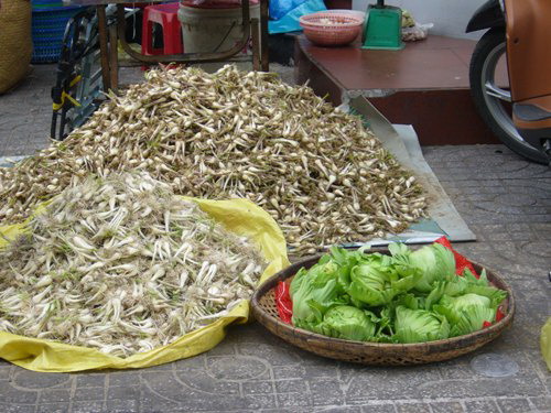 Dưa kiệu hàng chợ mất vệ sinh