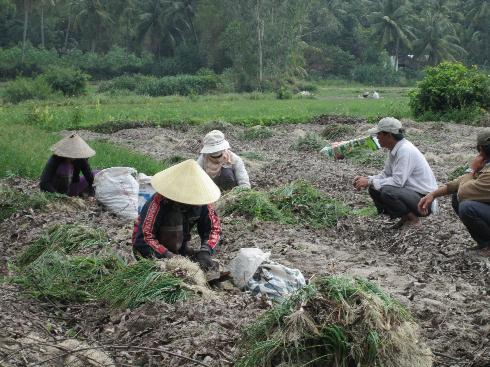 Kiệu Bình Định vui như Tết