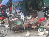 Gần Tết, lo mất an toàn vệ sinh thực phẩm ở chợ cóc, chợ tạm