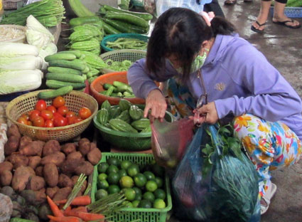 Mỗi ngày 80 tấn túi nilon thải ra môi trường