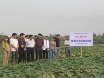 Hỗ trợ dự án xây dựng nông thôn mới