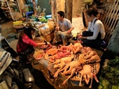 Đặt máy soi thực phẩm bẩn tại các chợ ở Hà Nội