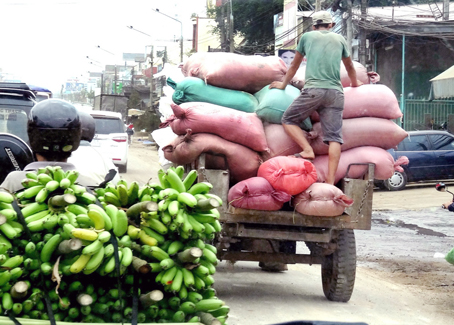 Chở quá tải Căn bệnh khó chữa