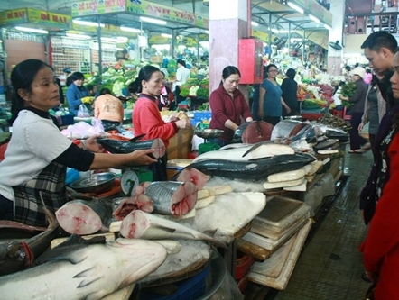  Cá thu lớn có giá 300.000 – 400.000 đồng mỗi kg ở chợ Hàn. Ảnh: Thùy Trang