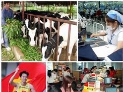 Chính sách mới có hiệu lực từ tháng 2 2014