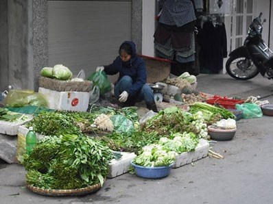 Đắt như tôm tươi, rau xanh ngày Tết