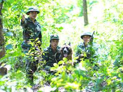 Đêm biên cương Xuân về nhớ mẹ