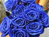 Hoa hồng xanh giá hàng chục triệu đồng bó cho ngày Valentine