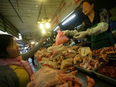 Gà thải loại dễ trà trộn vào nhà hàng, quán ăn