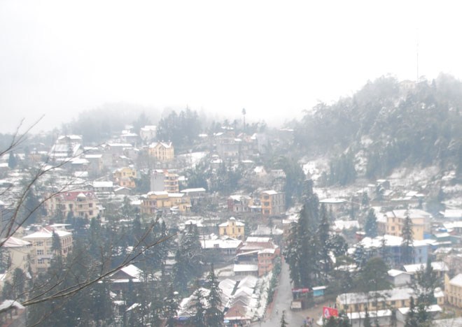 Tuyết lại đang rơi dày đặc ở Sa Pa