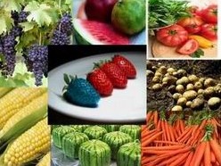 Điều kiện cấp Giấy xác nhận thực vật biến đổi gien làm thực phẩm