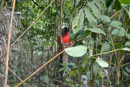 Sau khi gây án, Nguyễn Ngọc Sơn chạy vào rừng tự tử