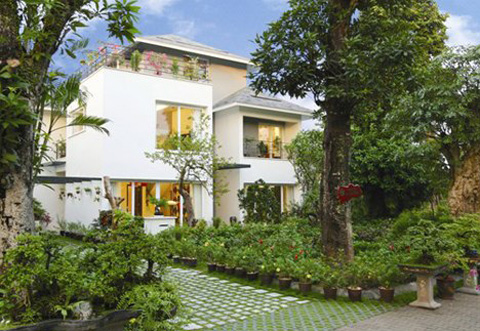 Chê phố khó ở, đại gia ôm tiền về quê