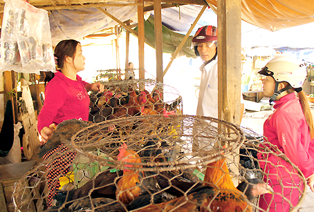 Giá gà thịt giảm 4-5 ngàn đồng kg