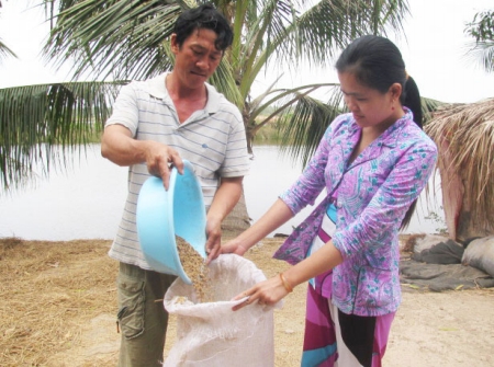 Nông dân điêu đứng vì gian thương