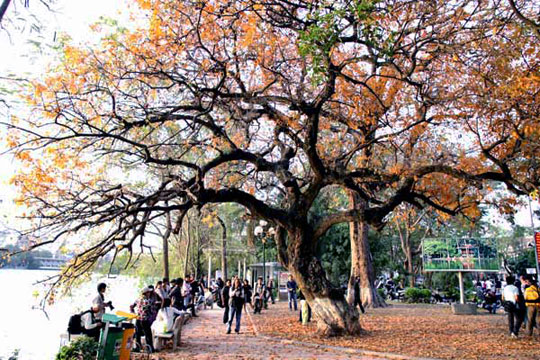 Không khí lạnh suy yếu, thời tiết cả nước đều tăng