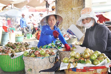 Về Vĩnh Kim, nghe kể chuyện vú sữa Lò Rèn