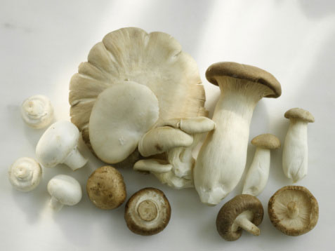 Nguy cơ ngộ độc nấm mùa xuân