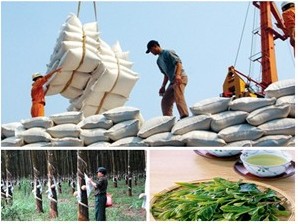 Tháng 2 2014 XK thủy sản vẫn là điểm sáng