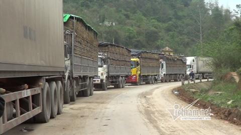 Dãy xe tải hoa hỏa chờ thông quan tại cửa khẩu Tân Thanh dài hơn 20km.