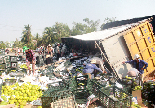 Người dân nhặt giúp hàng chục tấn xoài đổ ra quốc lộ