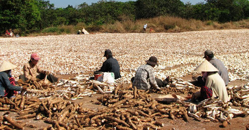 Mì rớt giá thê thảm