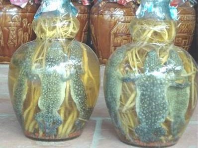 Bác sỹ tư vấn ngâm rượu giúp quý ông thêm sung