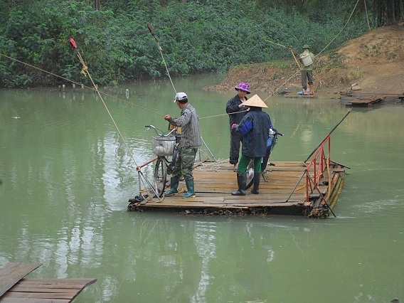 Nghệ An Khổ vì cầu, bè