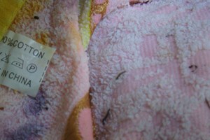 Tiến hành lấy mẫu ký sinh trùng lạ từ khăn lông made in China