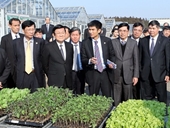Chủ tịch nước Trương Tấn Sang tới thăm tỉnh Ibaraki
