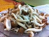 Tổng kiểm tra 12 cơ sở kinh doanh, sản xuất nấm tại Hà Nội