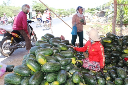 Chục cân dưa hấu không mua nổi nửa bát phở