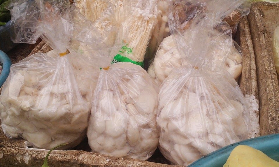 Nấm ăn 3 không mua theo   niềm tin