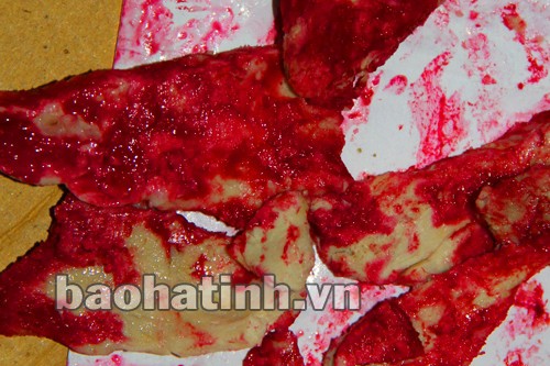 Thịt lợn đã luộc chín, bỗng xuất hiện màu đỏ lạ