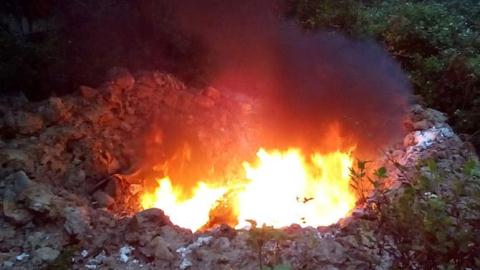 Chuyên gia Trung Quốc giúp nuôi gián  Việt Nam làm quá nhanh