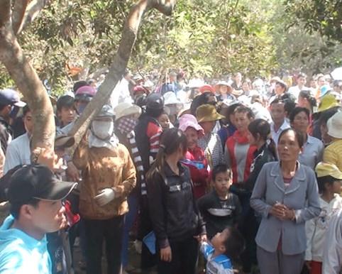 Thần y 9 tuổi bị phạt 35 triệu đồng